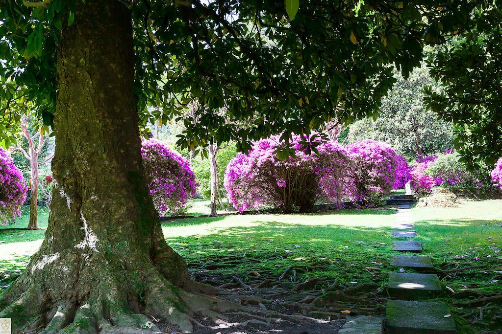 Hotel Villa E Palazzo Aminta Stresa Exteriör bild